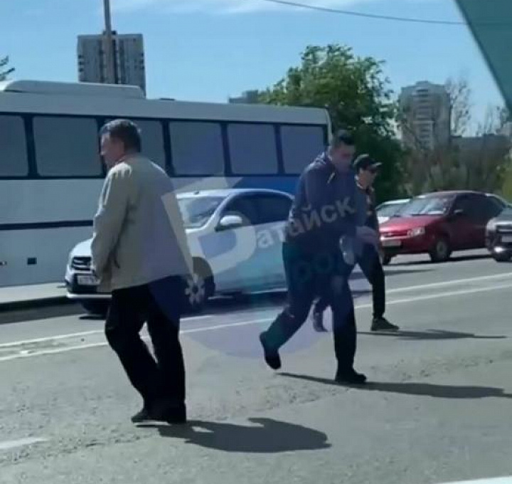 На трассе между Ростовом и Батайском добрые водители спасли семейство утят