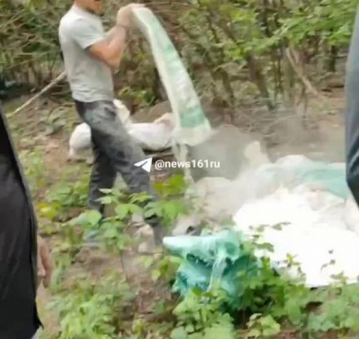 Жительница Ростова поймала мужчин, выбрасывавших мусор в роще 