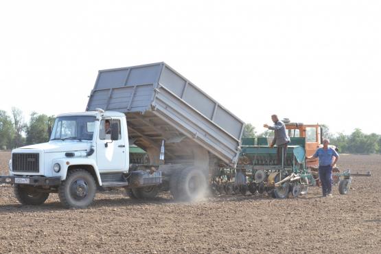 В Ростовской области аграриям пообещали федеральные компенсации за вымерзший урожай 
