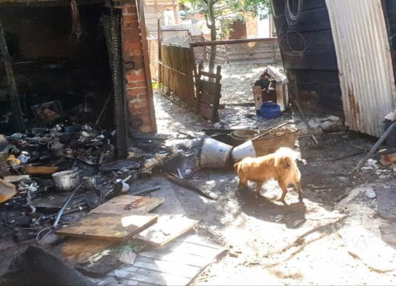 Пенсионер из Ростовской области пострадал при пожаре, спасая свою собаку 