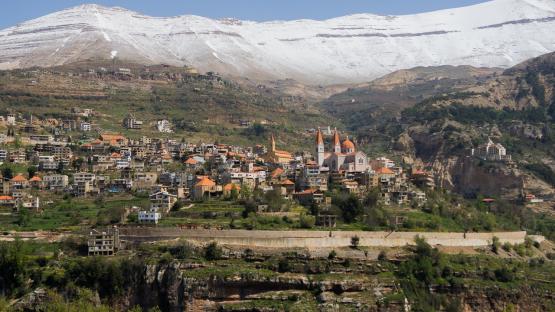 Жителям Ростовской области рекомендовали воздержаться от поездок в Ливан 
